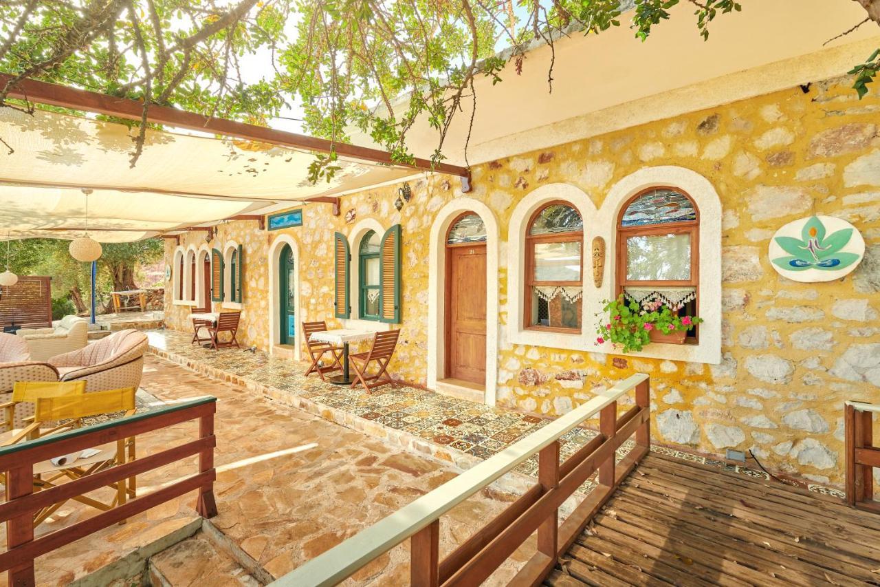 Can Mocamp كاس المظهر الخارجي الصورة
